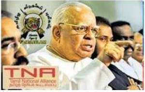 tiger tna-page-2 (2)